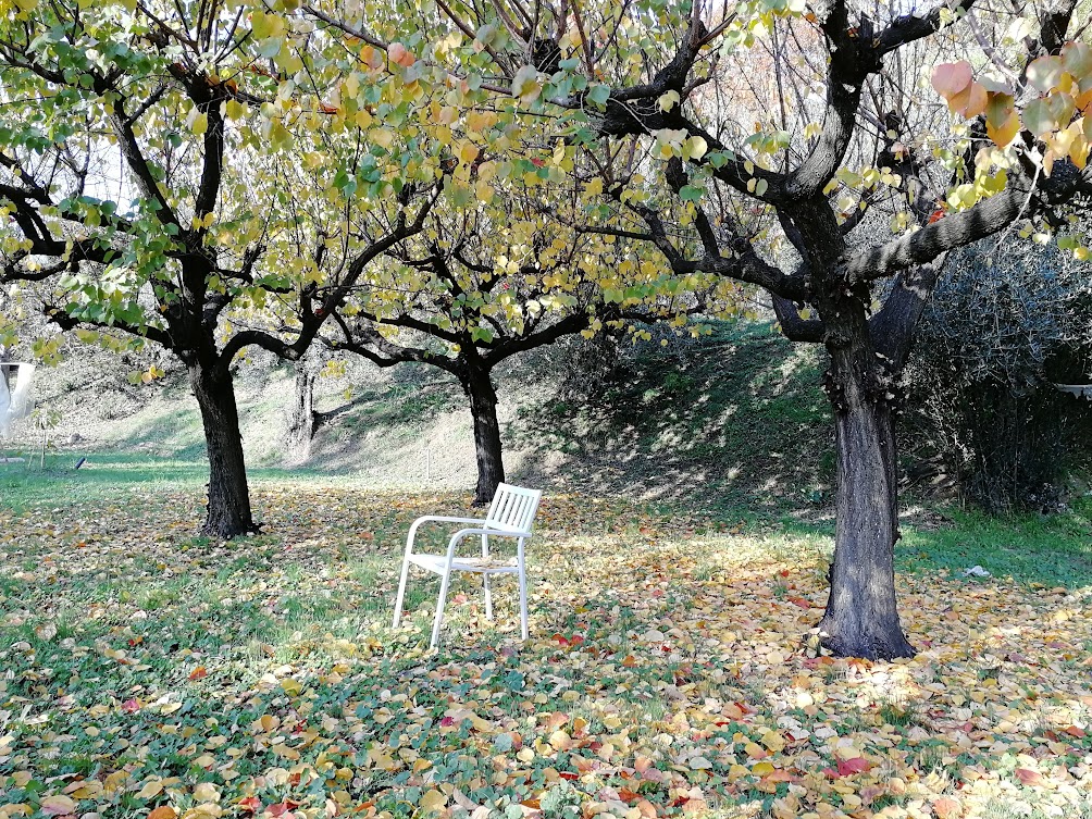 IMG 20201107 144651
